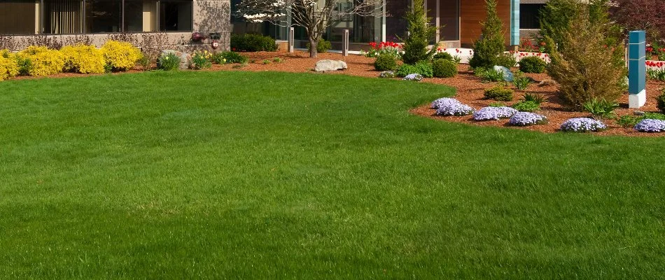A beautiful lawn and landscaping on a commercial property in Ankeny, IA.